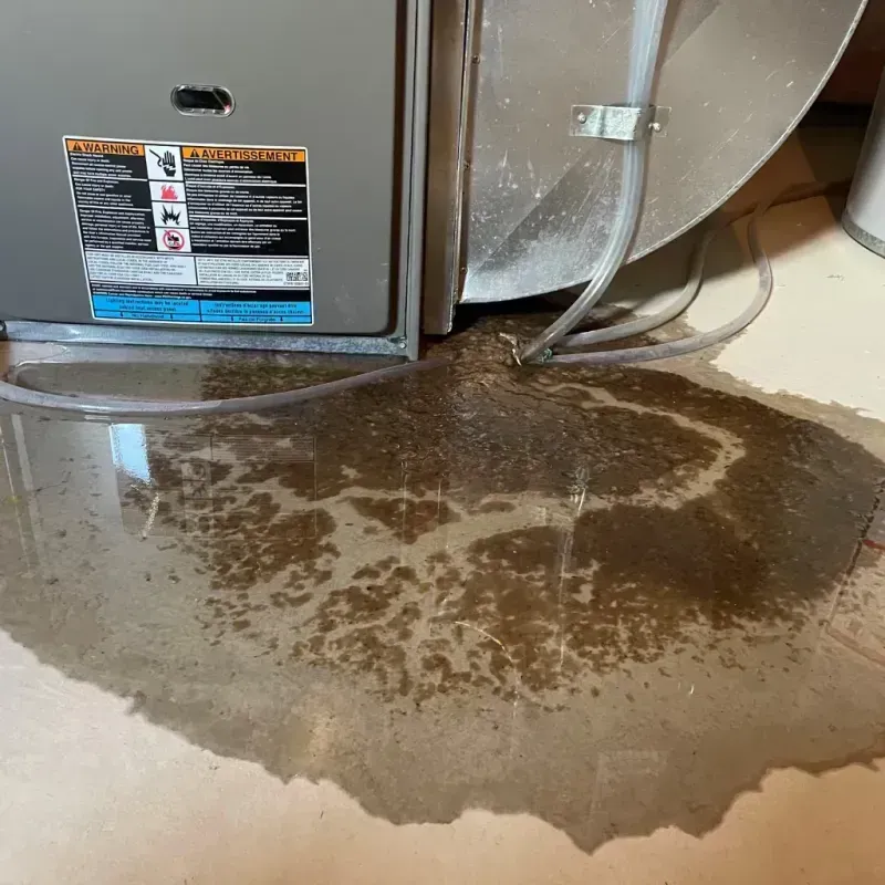 Appliance Leak Cleanup in Round Rock, TX